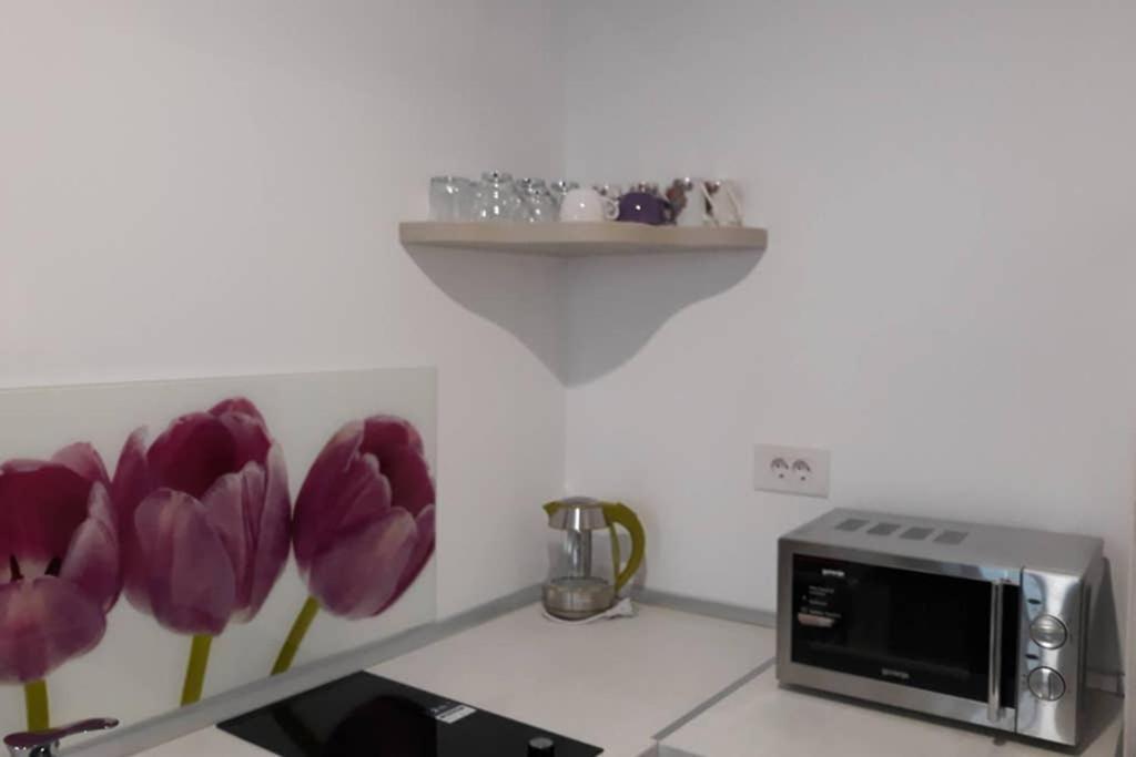 Zsizelle Rezidence Appartamento Braşov Esterno foto